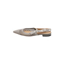 DIOR – Ballerines J’Adior slingback en résille grise