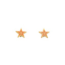 CHANEL – Enamelled Star Earrings – Cruise 2000 Collection (Vintage)